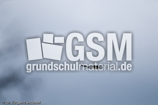 Sterntaucher (19 von 20).jpg